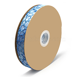 Nylon Ribbons, Royal Blue, 1 inch(25~26mm), about 20yards/roll(18.2m/roll)(OCOR-N003-05C)