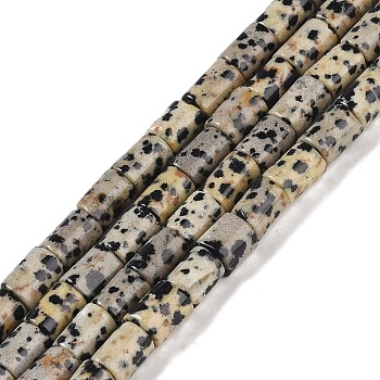 Natural Dalmatian Jasper Beads Strands, Column, 7.5~8.5x5~6mm, Hole: 1mm, about 45~46pcs/strand, 14.69~15.04 inch(37.3~38.2cm)