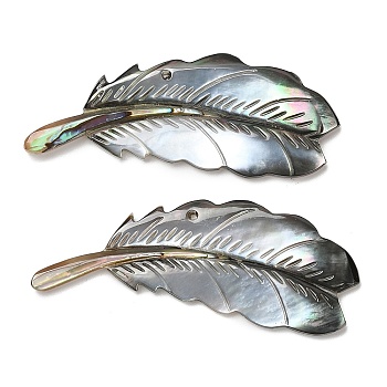 Natural Black Lip Shell Big Pendants, Feather Charms, 24~24.5x61.5~63x3.5~4.5mm, Hole: 1.8mm