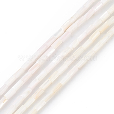 Natural Freshwater Shell Dyed Beads Strands(SHEL-M018-11-12)-2