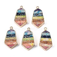 Rainbow Color Natural Imperial Jasper Pendants, with Golden Iron Loop and Edge, Dyed, Quadrangle, 30~31x17x6~7mm, Hole: 1.6mm(G-S359-328)