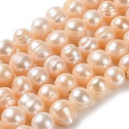Natural Cultured Freshwater Pearl Beads Strands, Potato, Grade AB+, PeachPuff, 8~10.5x8~9.5mm, Hole: 0.5mm, about 42pcs/strand, 13.98~14.37 inch(35.5~36.5cm)(PEAR-E018-26)