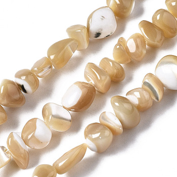 Natural Trochid Shell/Trochus Shell Beads Strands, Nuggets Chips, 3.5~13x6~12x3~8mm, Hole: 0.9mm, about 68~73pcs/strand, 15.35 inch~15.94 inch(39~40.5cm)