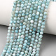 Natural Larimar Beads Strands(G-K376-A03-4mm)-1