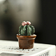 décorations d'affichage de cactus en porcelaine(PORC-PW0001-093-26)-1