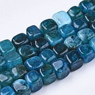 Natural Dolomite Beads Strands, Dyed, Cube, Teal, 7~8x7~8x7~8mm,  Hole: 1.2mm, about 50~52pcs/strand, 14.76 inch~15.35 inch(37.5cm~39cm)(X-G-T131-56A)