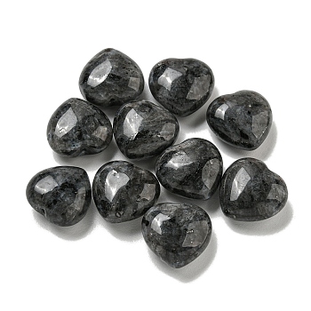 Natural Larvikite Beads, Half Drilled, Heart, 15.5x15.5x8mm, Hole: 1mm