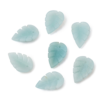 Natural Amazonite Carved Pendants, Leaf Charms, 20x12.5x3mm, Hole: 1.3mm