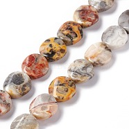 Natural Crazy Agate Beads Strands, Twist Flat Round, 16x6~7mm, Hole: 1mm, about 25pcs/strand, 15.75''(40cm)(G-O120-13)