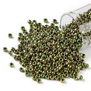 TOHO Round Seed Beads, Japanese Seed Beads, (1702) Gilded Marble Green, 8/0, 3mm, Hole: 1mm, about 10000pcs/pound(SEED-TR08-1702)