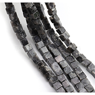 Natural Larvikite Beads Strands, Cube, 4~4.5x4~4.5x4~4.5mm, Hole: 0.8mm, about 90pcs/strand, 15.20~15.35 inch(38.6~39cm)(G-G002-A08)