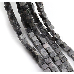 Natural Larvikite Beads Strands, Cube, 4~4.5x4~4.5x4~4.5mm, Hole: 0.8mm, about 90pcs/strand, 15.20~15.35 inch(38.6~39cm)(G-G002-A08)