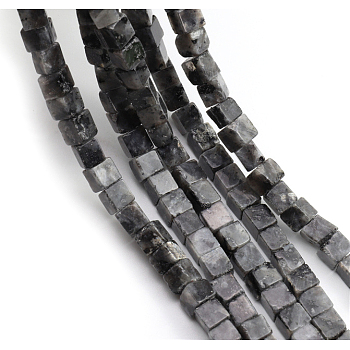 Natural Larvikite Beads Strands, Cube, 4~4.5x4~4.5x4~4.5mm, Hole: 0.8mm, about 90pcs/strand, 15.20~15.35 inch(38.6~39cm)