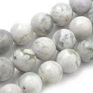 Natural Peace Jade Beads Strands, Round, 10mm, Hole: 1mm, about 37~40pcs/strand, 14.9~15.1 inch(38~38.5cm)(G-S259-25-10mm)