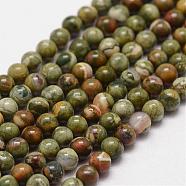 Natural Rhyolite Jasper Beads Strands, Round, 3mm, Hole: 0.5mm, about 125pcs/strand(G-N0183-01-3mm)