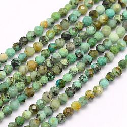 Natural African Turquoise(Jasper) Beads Strands, Faceted, Round, 3mm, Hole: 0.5mm, about 119pcs/strand, 15.7 inch(40cm)(G-F509-29-3mm)