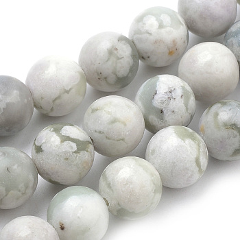 Natural Peace Jade Beads Strands, Round, 10mm, Hole: 1mm, about 37~40pcs/strand, 14.9~15.1 inch(38~38.5cm)