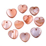 Natural Freshwater Shell Charms, Dyed, Heart, Chocolate, 12.5x13x2mm, Hole: 1.5mm(SHEL-R113-17H)
