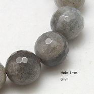 Natural Labradorite Beads Strands, Faceted, Round, Gray, 6mm, Hole: 1mm, about 63pcs/strand, 15.5 inch(G-G213-6mm-03)