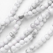Natural Howlite Beads Strands, Frosted, Round, 4mm, Hole: 1mm, about 91pcs/strand, 15.1 inch(G-D809-16-4mm)