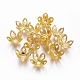Chapeaux de perles de fer(IFIN-L030-001G)-1