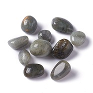 Natural Labradorite Beads, Tumbled Stone, Healing Stones for 7 Chakras Balancing, Crystal Therapy, Meditation, Reiki, Vase Filler Gems, No Hole/Undrilled, Nuggets, 16~27x13~23x9.5~20mm, about 134pcs/1000g(G-O188-01)