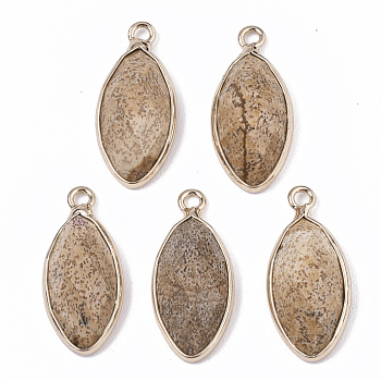 Natural Picture Jasper Pendants, with Golden Plated Edge Brass Findings, Faceted, Horse Eye, 20x9x5mm, Hole: 1.2mm