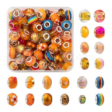 80Pcs 20 Style Rondelle European Beads Set for DIY Jewelry Making Finding Kit, Including Acrylic & Resin & Glass & Lampwork & Polymer Clay European Beads, Mixed Color, 10~16x7~11mm, 4pcs/style(DIY-LS0004-15)