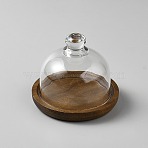 Round Wood Cake Stand with Glass Dome Cover, Cake Display Server Tray, Cake Plate Holder, Coconut Brown, 105x90mm(AJEW-WH0696-075B)