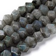 Natural Labradorite Beads Strands, Faceted, Polygon, 13~14x12~13x16mm, Hole: 1.2mm, about 31pcs/strand, 15.75 inch(40cm)(G-I194-46)