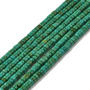 Natural Howlite Beads Strands, Flat Round/Disc, Dyed, Heishi Beads, Sea Green, 4~4.5x2~3mm, Hole: 1mm, about 161~173pcs/strand, 15.47~15.71''(39.3~39.9cm)(G-B049-A01-01A)