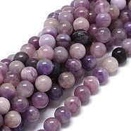 Grade AB Natural Fluorite Beads Strands, Round, 8~8.5mm, Hole: 1mm, about 46~49pcs/strand, 15.55 inch(39.5cm)(G-O201A-13A)