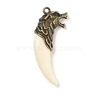 Tibetan Style Alloy Resin Wolf Tooth Pendants, Antique Bronze, 58x23x10.5mm, Hole: 3mm(FIND-A042-04AB)