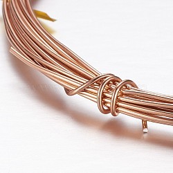 Aluminum Wire, Bendable Metal Craft Wire, for Beading Jewelry Craft Making, Sandy Brown, 10 Gauge, 2.5mm, 10m/roll(32.8 Feet/roll)(AW-D009-2.5mm-10m-04)