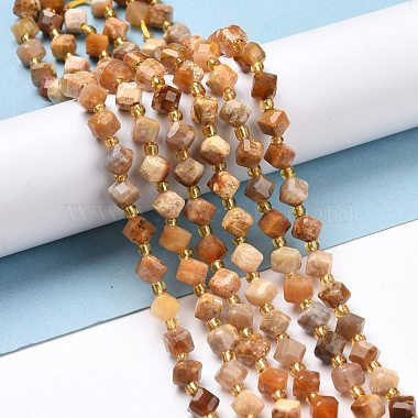 Natural Fossil Coral Beads Strands(G-P463-48)-2