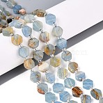 Natural Blue Calcite Beads Strands, Hexagon, with Seed Beads, Blue, 8~10x8~10x4~5mm, Hole: 0.9~1mm, about 18~19pcs/strand, 7.68~8.07''(19.5~20.5cm)(G-P534-A24-01)