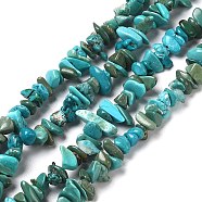Natural Turquoise Chip Beads Strands, Dyed, Dark Turquoise, 5~8x5~7x1~3mm, Hole: 0.7mm, 32.68''(83cm)(G-D093-A01)