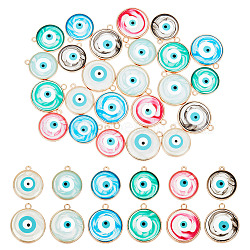 PandaHall Elite 24Pcs 12 Styles Transparent Evil Eye Resin Pendants, with Golden Tone Zinc Alloy Findings, Flat Round Charm, Mixed Color, 18~21x16~18x2.5mm, Hole: 1.2~1.8mm, 2pcs/style(RESI-PH0001-87)