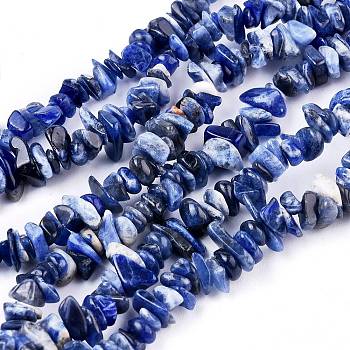 Natural Sodalite Chips Beads Strands, 3~5mm, Hole: 0.3mm, about 32~32.5 inch
