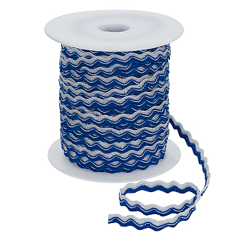 2 Bundles Polypropylene Wavy Fringe Trim Ribbon, Wave Bending Lace, Garment Accessories, Medium Blue, 3/8 inch(8.5mm), about 17.50 Yards(16m)/bundle