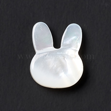 Natural White Shell Beads(BSHE-C003-02C)-3