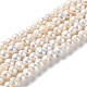 Natural Cultured Freshwater Pearl Beads Strands(PEAR-E018-47)-1