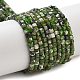 Natural Diopside Beads Strands(X-G-G161-C23-01)-1