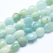 Natural Amazonite Beads Strands, Tumbled Stone, Nuggets, 6~8mm, Hole: 0.8mm, about 45~47pcs/strand, 15.7 inch(40cm)(G-E483-53A)