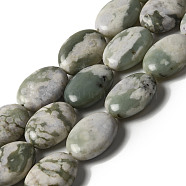 Natural Peace Jade Beads Strands, Flat Oval, 18x13.5x6mm, Hole: 1.2mm, about 21pcs/strand, 15.43''(39.2cm)(G-B078-F01-01)