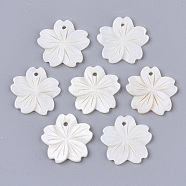 Freshwater Shell Pendants, Sakura Flower, Creamy White, 20.5x20.5~22x1.5~2.5mm, Hole: 1.5mm(X-SHEL-N026-03)