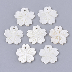 Freshwater Shell Pendants, Sakura Flower, Creamy White, 20.5x20.5~22x1.5~2.5mm, Hole: 1.5mm(X-SHEL-N026-03)