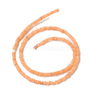 Natural Freshwater Shell Beads Strands(SHEL-P017-01B-05)-2