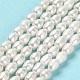 Natural Cultured Freshwater Pearl Beads Strands(PEAR-E016-132)-2