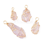 Raw Rough Natural Ametrine Copper Wire Wrapped Pendants, Nuggets Charms, Light Gold, 20.5~38x10.5~14x5.5~8mm, Hole: 3~4mm(PALLOY-JF02130)